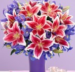 Mother's Day