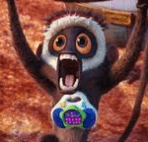 steve_monkey